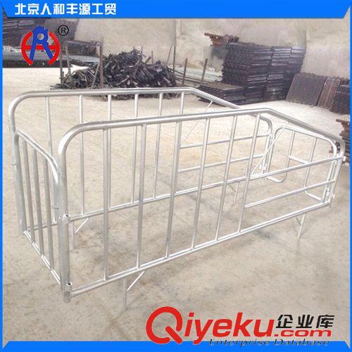 豬欄/豬產床/保育床/限位欄 專業銷售 高床仔豬保育欄 育肥豬欄 仔培欄 系列