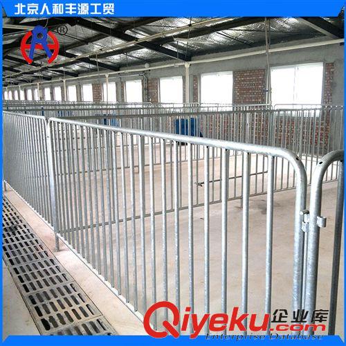 豬欄/豬產床/保育床/限位欄 廠家批發 育肥豬欄設備 公豬定位后備豬欄