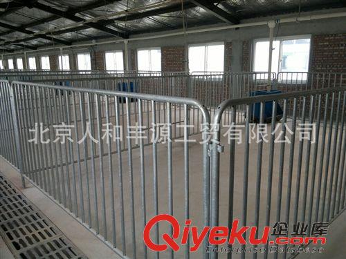 豬欄/豬產床/保育床/限位欄 廠家批發 育肥豬欄設備 公豬定位后備豬欄
