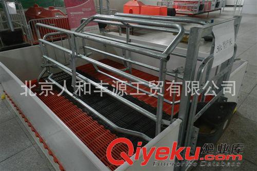 豬欄/豬產床/保育床/限位欄 生產銷售 歐式母豬分娩產床豬欄 豬產床豬欄系列