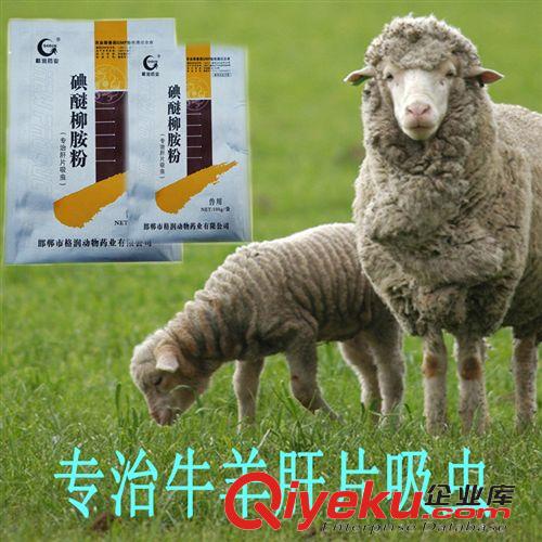 消毒劑系列 寵物用xd液 中貝醛多滅 稀戊二醛溶液  1000ml/瓶