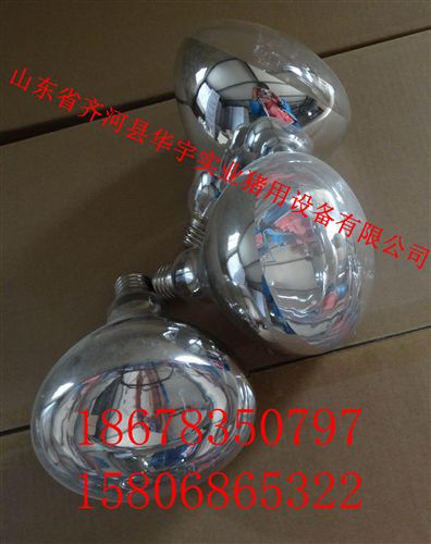 紅外線燈泡 200W 養殖燈泡 畜牧養殖燈泡 山東華宇 麻點燈泡 gd保溫燈泡