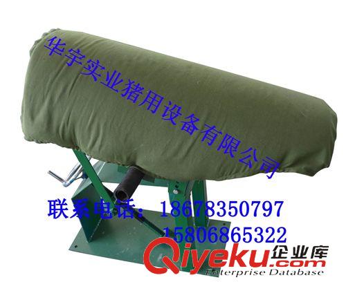 紅外線燈泡 豬用保溫燈泡 紅外線燈泡 豬用專用養(yǎng)殖燈泡 畜牧取暖燈泡原始圖片3