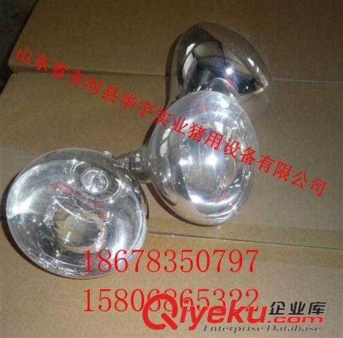 紅外線燈泡 山東省取暖燈泡生產(chǎn)廠家 豬用養(yǎng)殖設(shè)備 豬用平面燈泡 保溫?zé)襞?/>
            
            </a>
        </div>
    </div>
        <div   id=