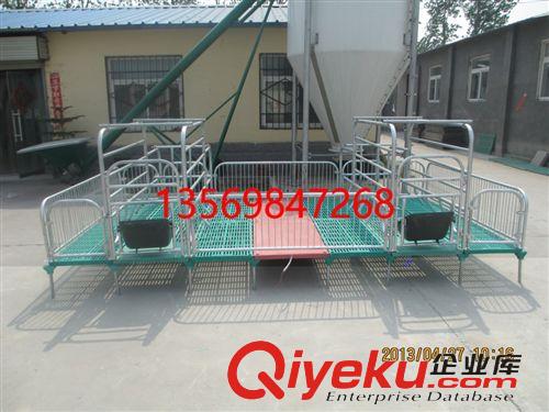 定位欄系列 批發(fā)供應(yīng)益鑫生產(chǎn)現(xiàn)代化連體 豬用定位欄 漏板
