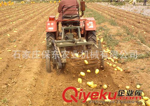 收獲機械 土豆收獲機 廠家直銷