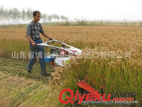 農業機械 專業生產小型收割機，可自選動力（9--13馬力）-zg出口原始圖片3