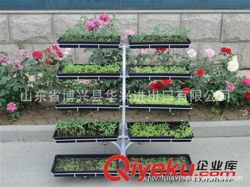 農(nóng)業(yè)機(jī)械 山東華興供應(yīng)家庭蔬菜種植架，及其多種花架-不含花（美觀）
