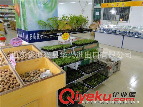 農業機械 山東華興供應家庭蔬菜種植架，及其多種花架-不含花（美觀）原始圖片2