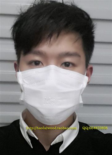 工作勞保口罩 zp3M9501/9502粉塵顆粒物H7N9流感病毒霧霾PM2.5防護(hù)口罩 N95級(jí)