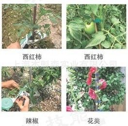 綁枝機 綁藤器 嫁接機 嫁接膜 嫁接刀 臺灣原產(chǎn)MAX綁枝機 綁蔓槍 結(jié)束機原始圖片2