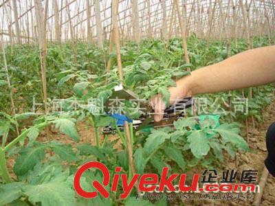 綁枝機 綁藤器 嫁接機 嫁接膜 嫁接刀 臺灣原產(chǎn)MAX綁枝機 綁蔓槍 結(jié)束機原始圖片3