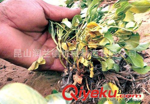 產(chǎn)品名稱分類 自動(dòng)噴灌機(jī)原始圖片2