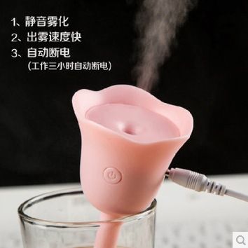 美容產品 新款瓶蓋迷你加濕器 USB加濕器　創意桌面加濕器　水瓶蓋加濕器