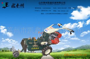 小型起壟機(jī) 小型起壟機(jī) 旋耕后起壟機(jī) 小巧方便 一臺(tái)起批可混批原始圖片2