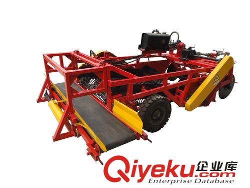 土豆機(jī)械 廠家供新型馬鈴薯聯(lián)合收獲機(jī) 土豆聯(lián)合 收獲機(jī) 土豆機(jī) 亞泰機(jī)械原始圖片3