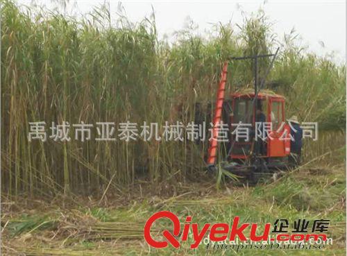 蘆葦收割機 廠家直銷2600蘆葦收割機 大型型蘆葦收割機原始圖片2