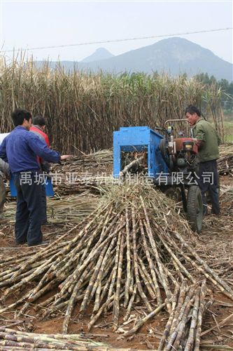 甘蔗机械 供优质 山东 甘蔗剥叶机