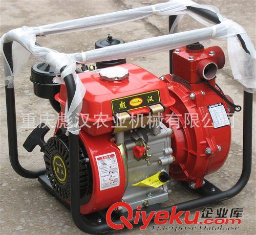 內燃機 重慶彪漢牌高品質|168柴油機|率先實行2年三包,消除用戶后顧之憂原始圖片2