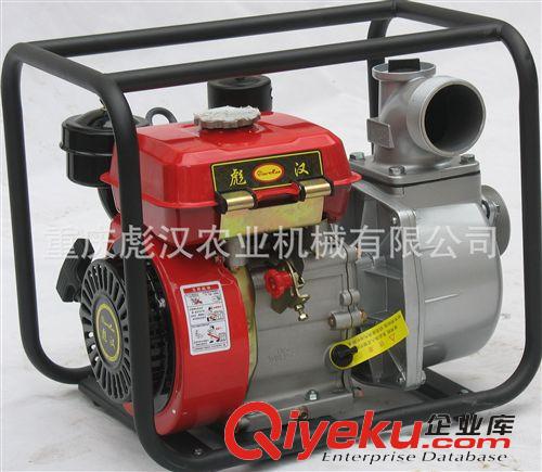 內燃機 重慶彪漢|168柴油機|誠征|廣東|廣西|云南|貴州|四川經銷批發商|原始圖片3