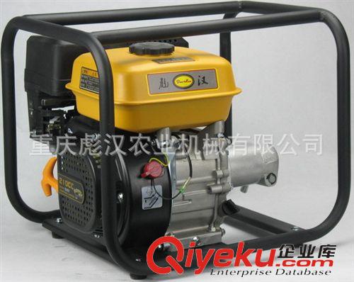 其他五金工具 直銷“彪漢”牌|汽油機振動棒|170汽油機振棒|混泥土搗固專用設備