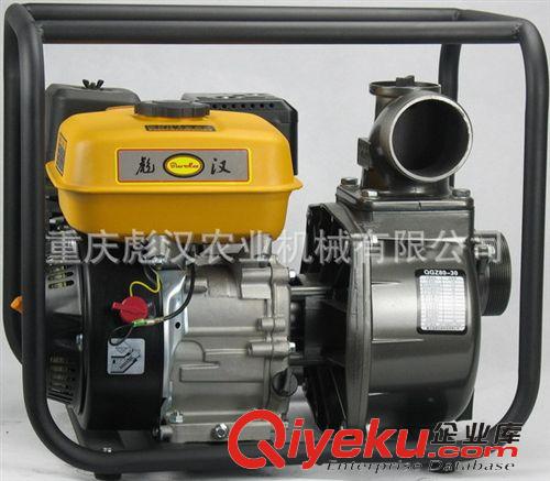 排灌機械 中國重慶專業生產168柴油機水泵的工廠-重慶彪漢農業機械有限公司原始圖片3