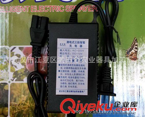電動噴霧器配件 電動噴霧器配件   微型電動隔膜泵 12V水泵 自吸洗車泵