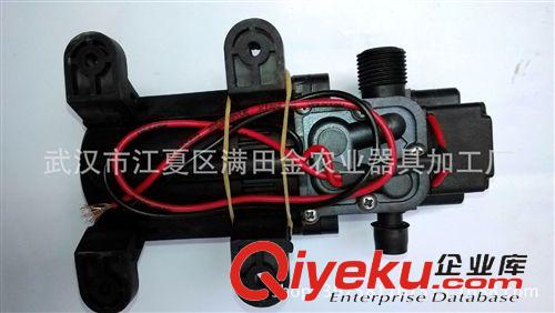 電動(dòng)噴霧器配件 電動(dòng)噴霧器智能調(diào)速水泵自動(dòng)泄壓保護(hù)型隔膜泵微型原始圖片3