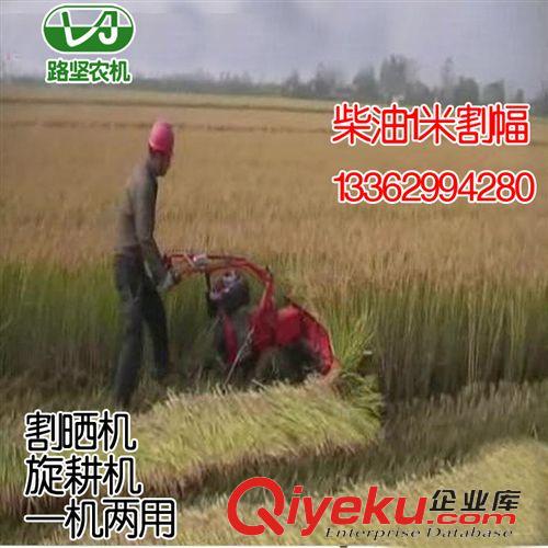 割曬機 供應小型稻麥割曬機 小型植物收獲機械  多功能 柴油186F原始圖片3