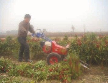 割曬機 供應(yīng)割曬機 小型收割機 自走式 汽油動力  路堅牌原始圖片3