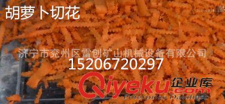 炊事機械設備 唐海地區用切絲機黃瓜切片機大頭菜切絲機切片機廠家原始圖片2