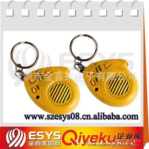 促銷(xiāo)禮品類(lèi) 供應(yīng)錄音鑰匙扣 30秒錄音器鑰匙扣 可更換電池 攜帶方便 外觀(guān)精美