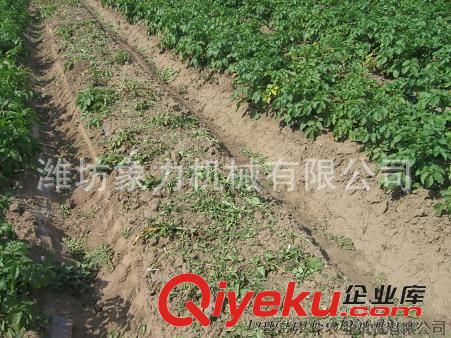 農用開溝機（開溝施肥機） 果園開溝機    果樹開溝機廠家原始圖片3
