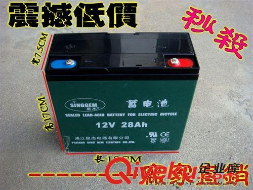 電瓶/逆變器大全及附件 4MM粗不銹鋼超聲波逆變器專用撈網探針伸縮竿/2.3米全長/攜帶方便