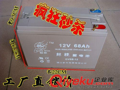 電瓶/逆變器大全及附件 12V36AH60A電瓶超聲波逆變器背機電池，干電池，免維護電池