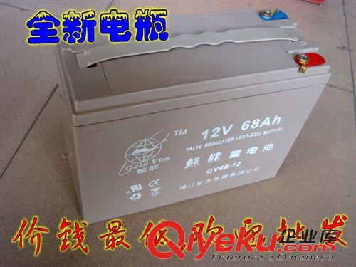 電瓶/逆變器大全及附件 12V36AH60A電瓶超聲波逆變器背機電池，干電池，免維護電池