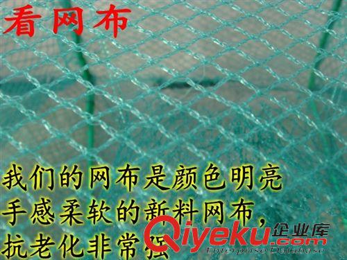 各種漁具/魚(yú)需系列 安徽產(chǎn)）折疊捕魚(yú)網(wǎng)捕蝦網(wǎng)漁網(wǎng)黃鱔籠泥鰍網(wǎng)蝦籠地龍網(wǎng)