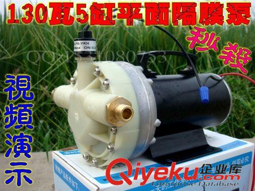 園林機械/配件 12V48V高壓農(nóng)用電動噴霧器園林抽水灌溉5缸高壓隔膜水泵