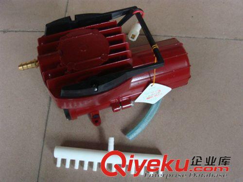 各種增氧泵/水族用品 森森漁亭無(wú)油永磁直流充氣泵12V增氧機(jī)HZ-100空氣泵增氧泵100W原始圖片2