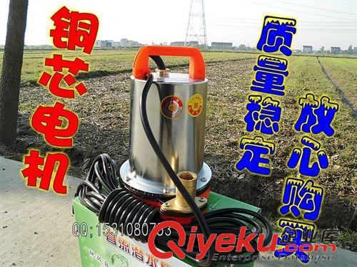 各種水泵系列 電動(dòng)車家用農(nóng)用直流水泵12V24V48V 高揚(yáng)程電瓶潛水泵抽水灌溉澆菜原始圖片2