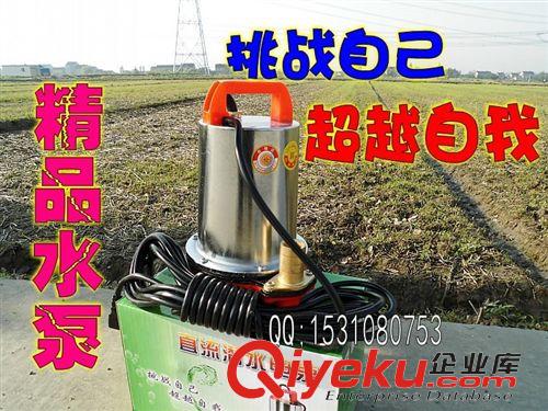 各種水泵系列 電動(dòng)車家用農(nóng)用直流水泵12V24V48V 高揚(yáng)程電瓶潛水泵抽水灌溉澆菜原始圖片3