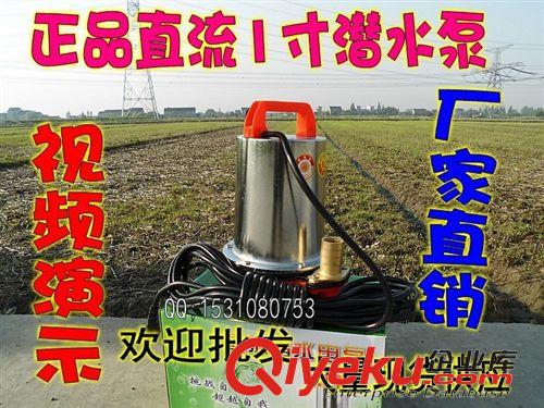 各種水泵系列 電瓶直流水泵1寸小型潛水泵12V24V48V大功率澆菜農(nóng)用水泵廠(chǎng)家直銷(xiāo)