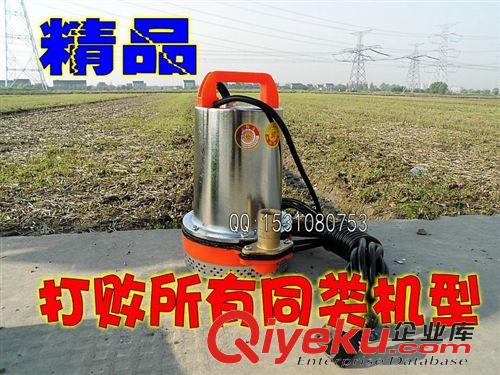 各種水泵系列 電瓶直流水泵1寸小型潛水泵12V24V48V大功率澆菜農(nóng)用水泵廠(chǎng)家直銷(xiāo)