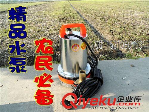 各種水泵系列 電瓶直流水泵1寸小型潛水泵12V24V48V大功率澆菜農(nóng)用水泵廠(chǎng)家直銷(xiāo)