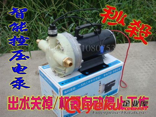 各種洗車機系列 12V/24V/48V超高壓迷你洗車泵/直流大功率洗車器水泵控壓隔膜泵