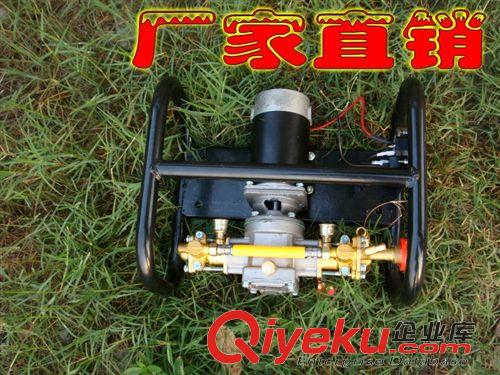 各種洗車機系列 12V48V大功率超高壓洗車泵/直流雙缸柱塞泵清洗機水泵移動洗車器