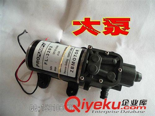 各種洗車機(jī)系列 農(nóng)用電動噴霧器打藥機(jī)12V直流洗車泵/隔膜泵自吸抽水灌溉