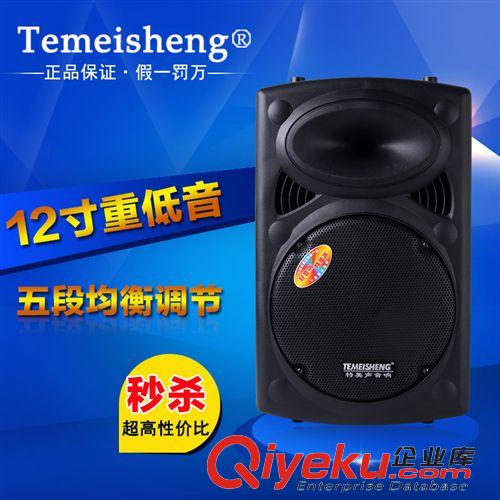 戶外舞臺(tái)音響批發(fā) 特美聲Q8S 移動(dòng)拉桿插卡充電電瓶鋰電戶外音響廣場舞大功率音箱