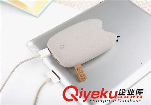 移動電源 廠家批發(fā)蘋果三星小米通用移動電源 可愛龍貓移動電源9000MAH原始圖片2