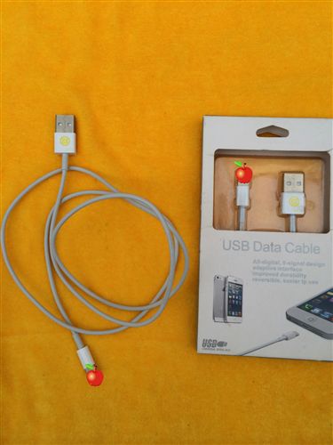 手機數據線 廠家直銷原裝蘋果手機數據線 iphone5/5S充電傳輸數據線原始圖片2
